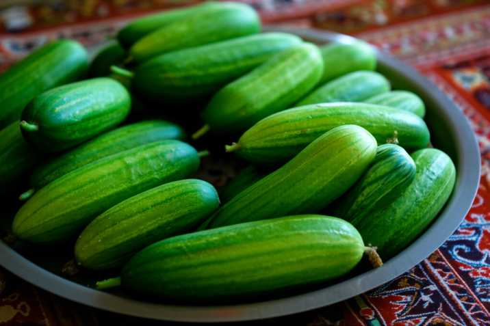 نقش خیار در کنترل قند خون دیابتی